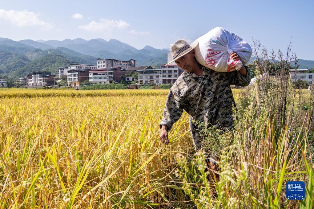 gm平台注册